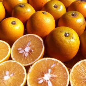 Responsive image
